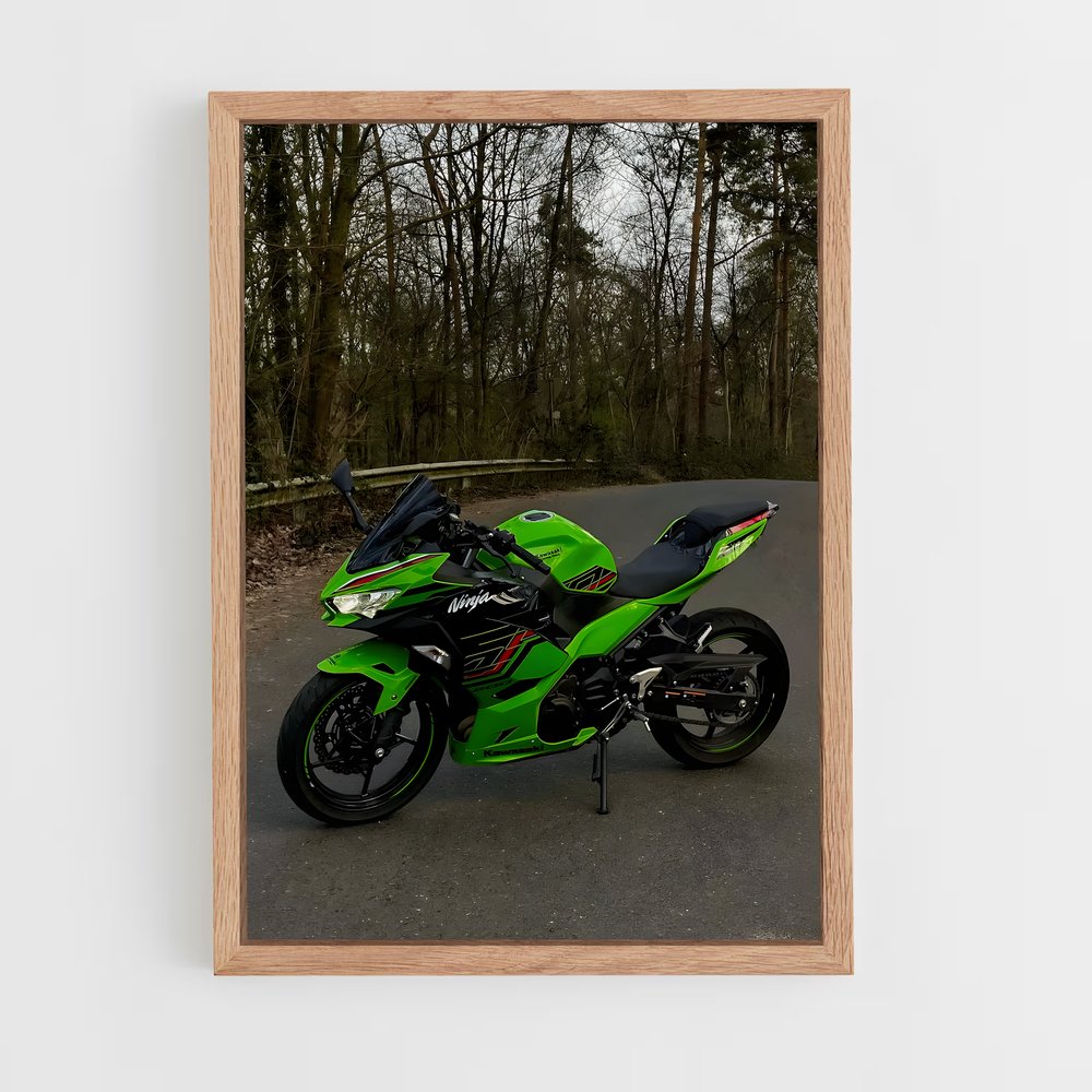 Poster Ninja Intrépide (vue 4)